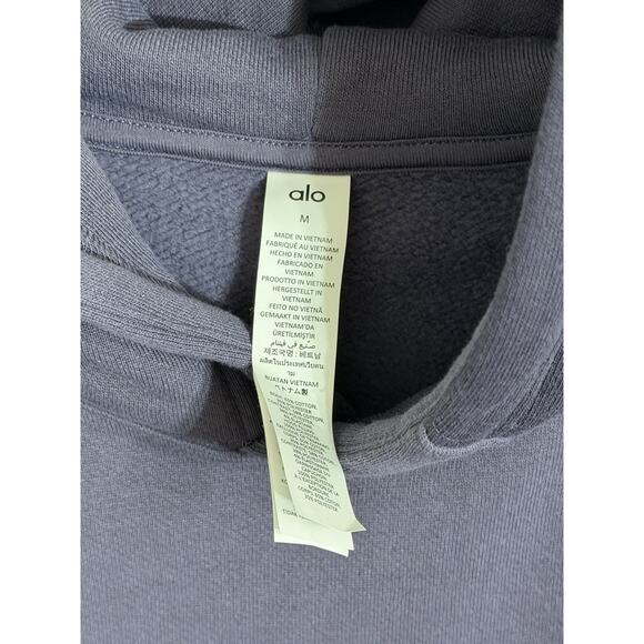 NEW Alo Yoga Make Waves Hoodie Italian Plum Tonal MEDIUM M Unisex Mens Womens - Picture 4 of 5